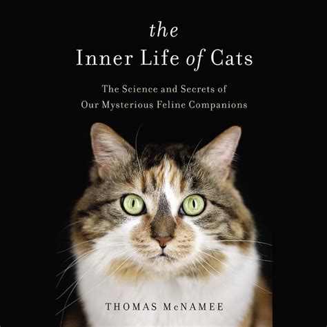 The Inner Life Of Cats Scientific American Cats And Science - Cats And Science