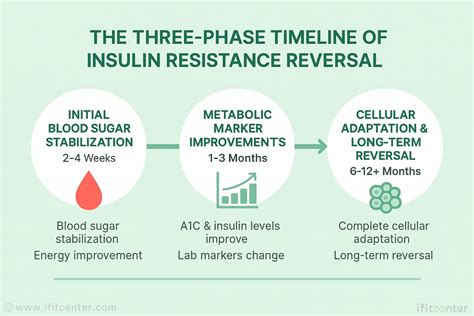 The Insulin Resistance Solution Reverse Pre Diabetes Repair Your Metabolism Shed Belly Fat And Prevent Diabetes With More Than 75 Recipes By Dana Carpender
