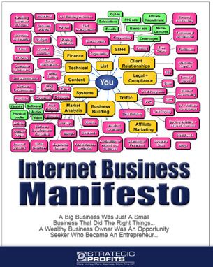 the internet business manifesto pdf