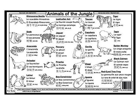 The Jungle Worksheet Answers   Educational Placemat Jungle Worksheet Education Com - The Jungle Worksheet Answers