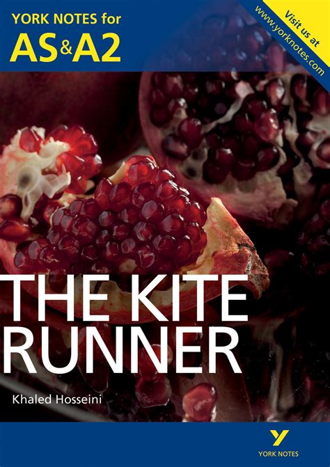 The Kite Runner York Notes Advanced