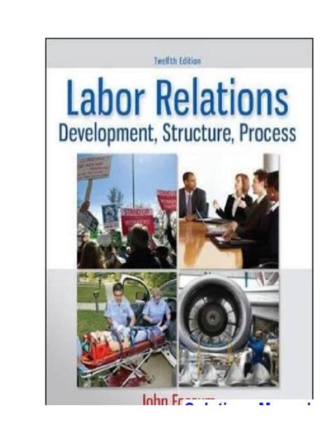 The Labor Relations Process 10th Edition