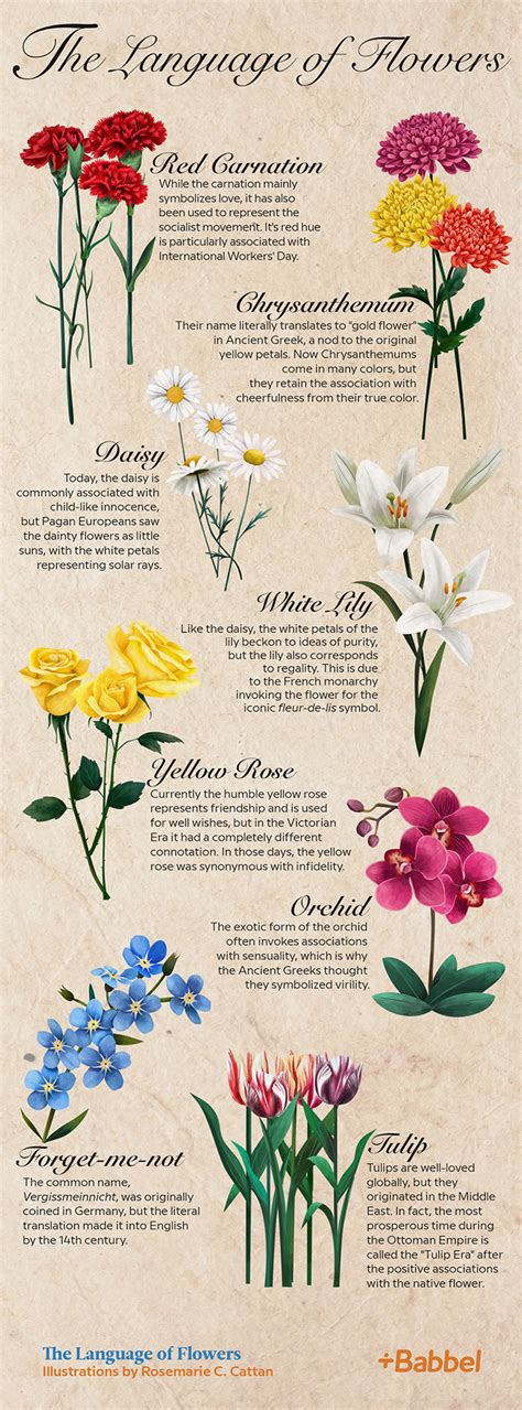 The Language Of Flowers Plot Summary
