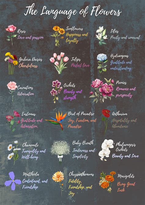 The Language Of Flowers Summary