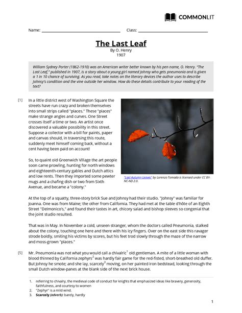 The Last Leaf Synopsis