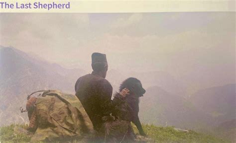 The Last Shepherd