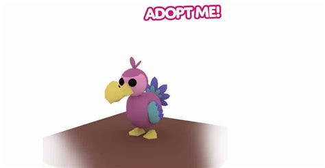The Legendary Dodo Bird From Adopt Me Coloring Dodo Bird Coloring Page - Dodo Bird Coloring Page