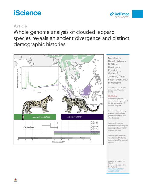The Leopard Analysis