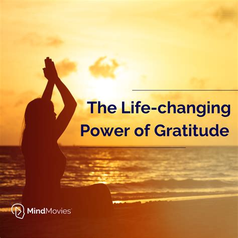 the life changing power of no how to stop trying