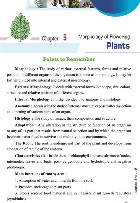 The Life Of Plants Class 11 Science Khan Science Of Flowers - Science Of Flowers