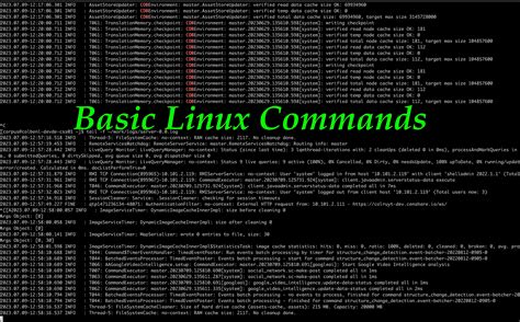 The Linux Command Line Beginner's Guide