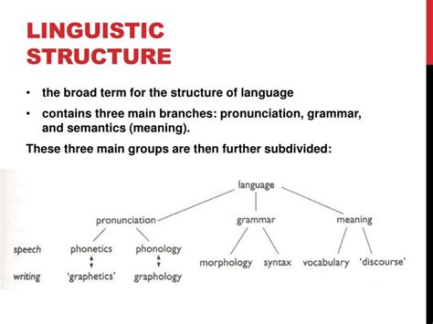 The Logical Structure Of Linguistic Theory