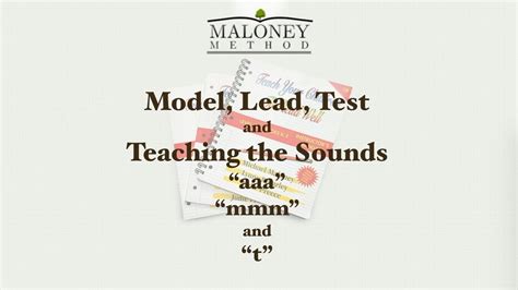 The Maloney Method Teaching The Quot S Quot S And Es Endings - S And Es Endings