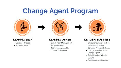The Manager As Change Agent: A Practical Guide To Developing High Performance Individuals And Organizations ( New Perspectives In Organizational Learning, Performance And Change)