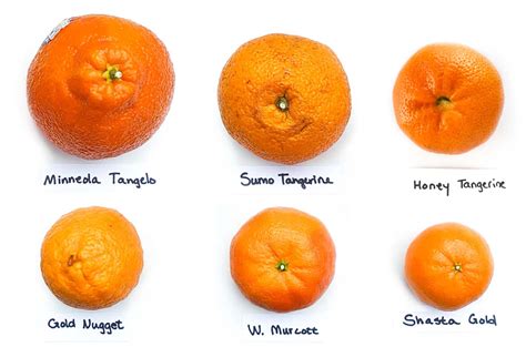 The Mandarins