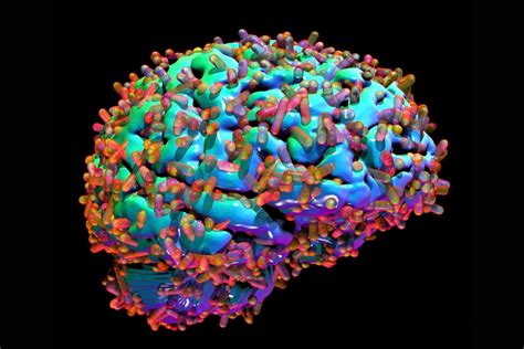 the microbiome and the brain english edition