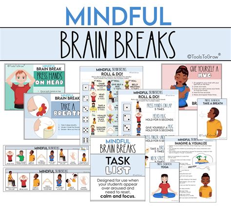 The Mindful Brain