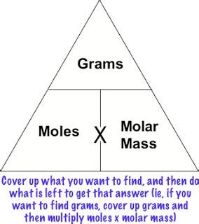 the mole bridge Flashcards Quizlet