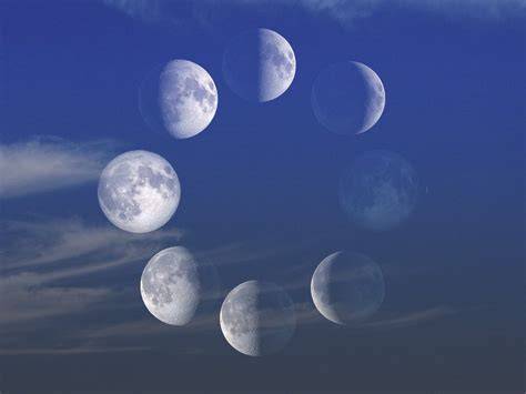 the moon s time to shine storybots step into readi