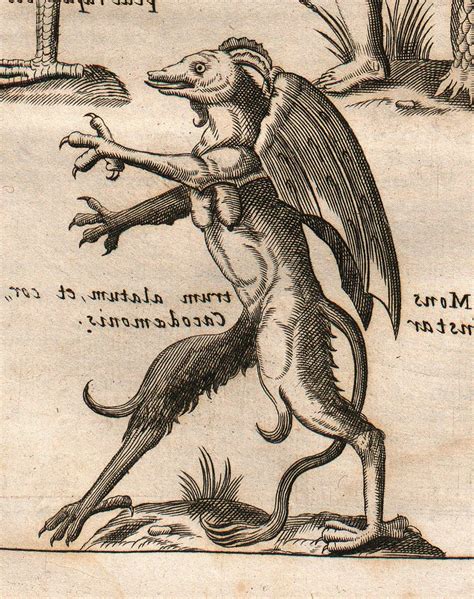 the new jersey devil