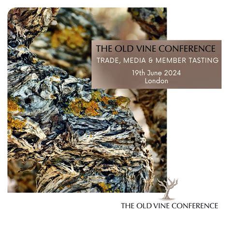 The Old Vine