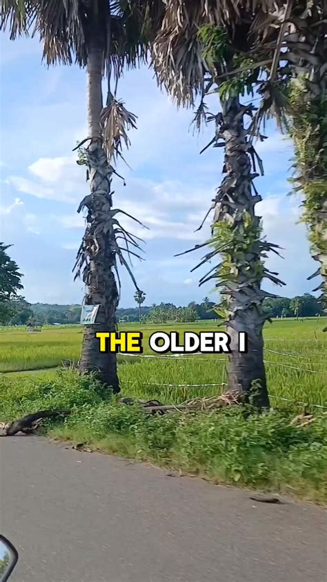 The Older I Get