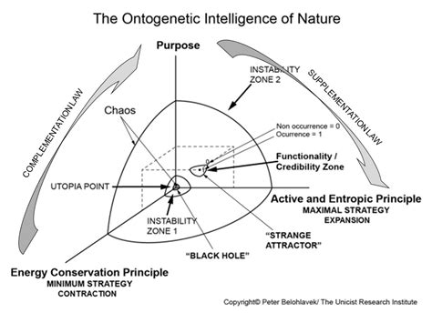 The Ontogenesis Of Evolution Peter Belohlavek