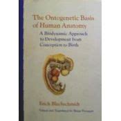 The Ontogenetic Basic Of Human Anatomy The Biodyn