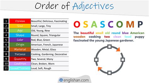 The Order Of Things An Archaeology Of Human Scienc