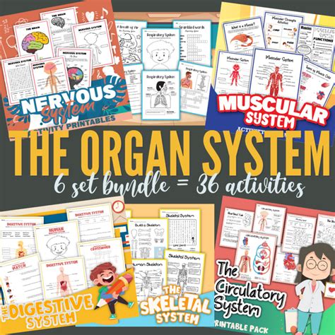 The Organ System Worksheet Bundle 3 Boys And Organ Systems Worksheet - Organ Systems Worksheet