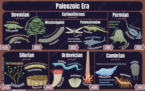 the paleozoic era diversification of plant and an