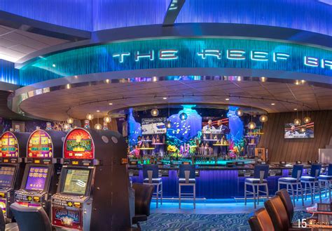 the paradise casino