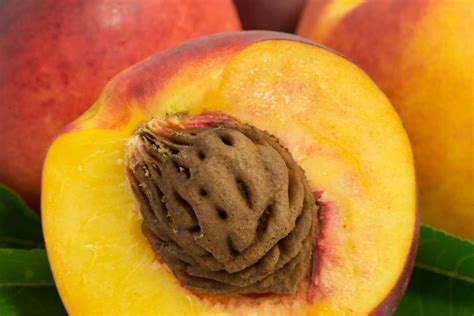 The Peach Pit