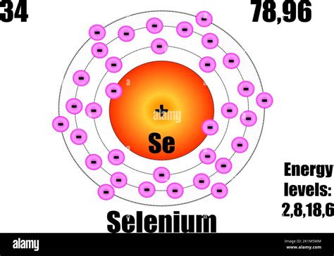 The Physics Of Selenium And Tellurium Proceedings Of The International Symposium Held At Montreal Canada October 12 13 1967