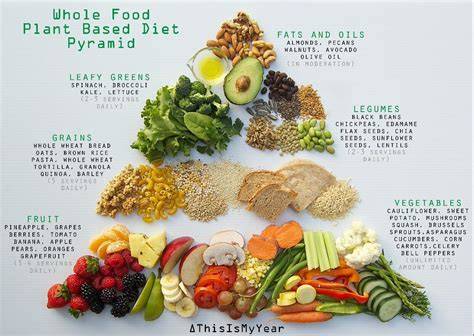 the plant based diet for beginners 75 delicious h