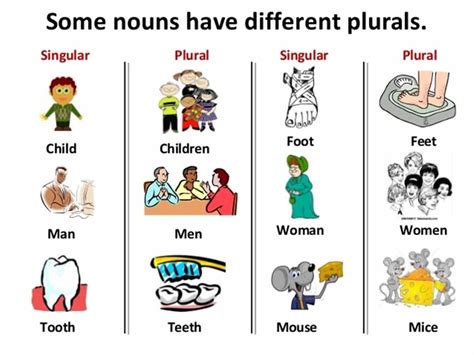 The Plural Of Child Plural Form Of Child - Plural Form Of Child
