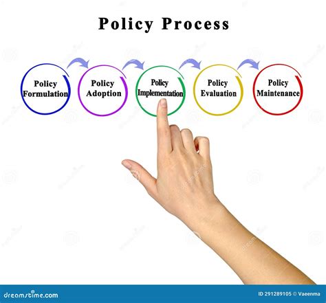 The Policy Process In The Modern State Gbv