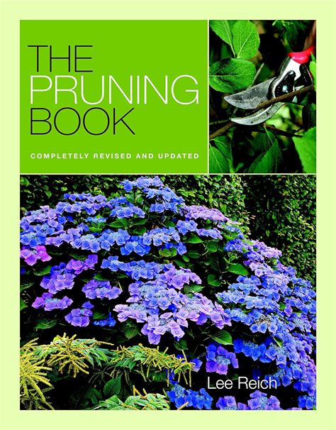 The Pruning Completely Revised And Updated