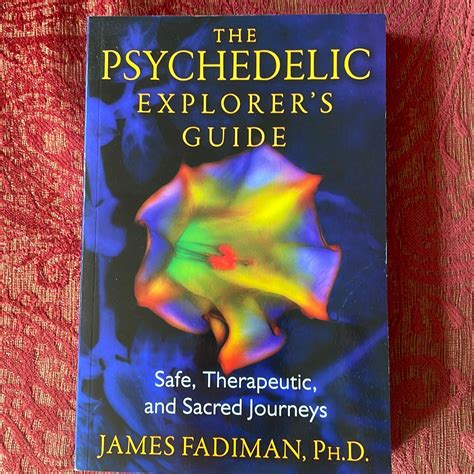 The Psychedelic Explorers