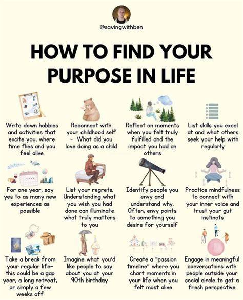 the purpose field guide your path to a life and c