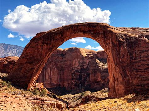 The Rainbow Bridge: A Visit To Pet Paradise