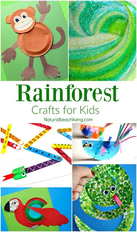 The Rainforest Preschool Activities And Crafts Kidssoup Jungle Science Activities For Preschoolers - Jungle Science Activities For Preschoolers