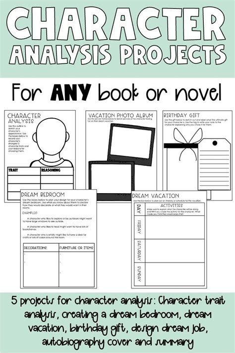 The Reader Novel Analysis