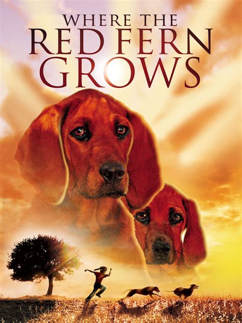 The Red Fern Grows