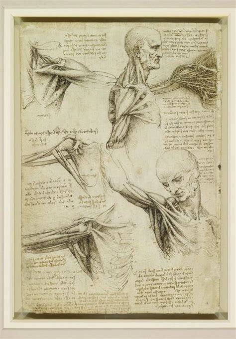 the renaissance nude