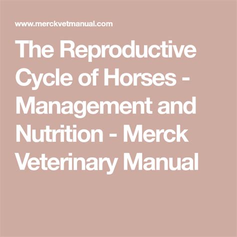 The Reproductive Cycle Of Horses Merck Veterinary Manual Life Cycle Of Horse - Life Cycle Of Horse