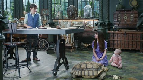 the reptile room