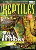 The Reptiles Creature Teacher Is Revealed Reptiles Kindergarten - Reptiles Kindergarten