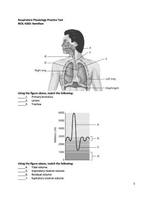 The Respiratory System Review Article Khan Academy Respiratory Structure Worksheet - Respiratory Structure Worksheet