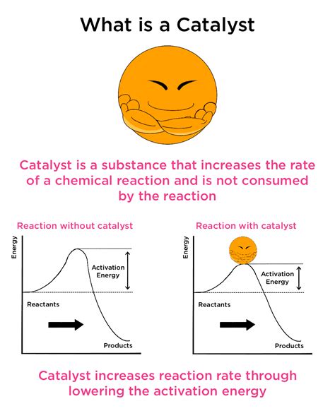 The Role Of Catalyst Is To Change